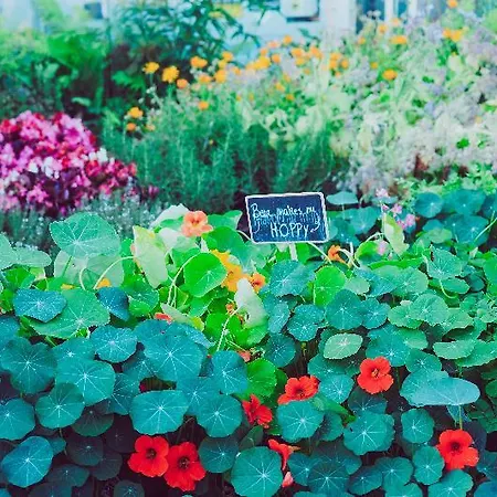 Ξενοδοχείο Casa 3*